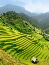 Vietnam Explorer