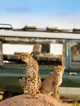 Explore Kenya Ladies Tour No Single Supplement