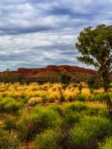 The Pilbara 4WD Safari