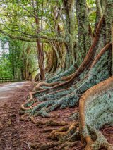 Norfolk Nature Lovers