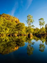 Yellow Water Billabong Wildlife Cruise