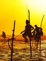 Sri Lanka  Hosted Escorted Tour