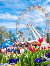 Floriade: Flowers full bloom escorted by National Seniors Travel