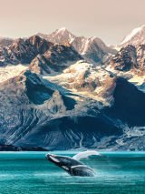 Rockies Odyssey & Alaska Cruise