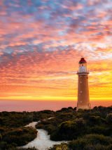 Kangaroo Island on Pacific Explorer
