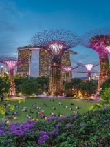 Singapore Escape Gardens & Culture Escorted Tour