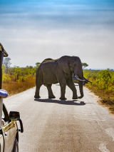  Africa Adventures For Solo Travellers
