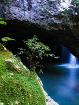 Gondwana Rainforest and Barrington Tops