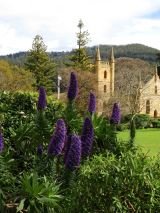 Private Gardens, Art & Taste of Tasmania