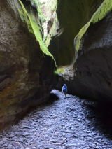 Carnarvon Gorge Glamping Signature Tour by National Seniors Travel