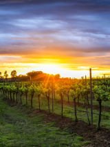 Hunter Valley, Newcastle & Port Stephens Highlights