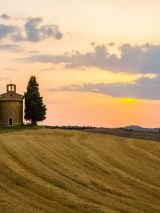 Taste of Tuscany
