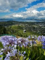 New Zealand's ultimate explorer