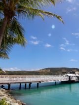 Hamilton Island - Palm Bungalows