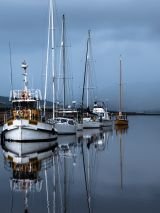 Tasmania on Ruby Princess