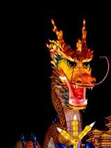 Land of the Dragon