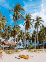 Philippines & Malaysian Borneo