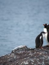 Antarctica in Depth