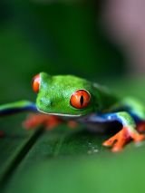 Costa Rica Adventure