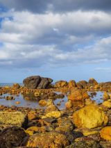 East Coast Discovery on Vasco da Gama