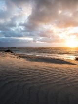 Tropical Escape on Vasco da Gama