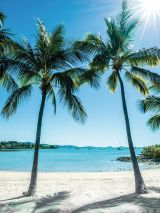 Barrier Reef Discovery on Pacific Explorer