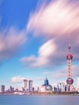 Holland America Westerdam with Return Flights