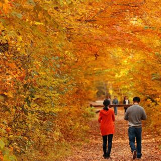 Tumut Valley Autumn Delight