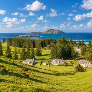 Norfolk Island Experience from Sydney and other departures