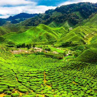 Malaysia: Rainforests, Heritage & Island Escapes