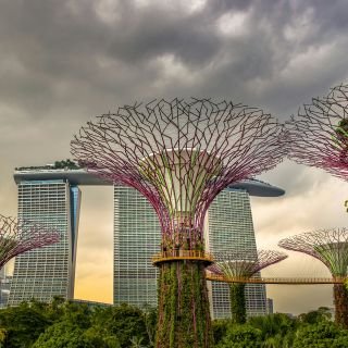 Singapore Gardens & Sightseeing Escorted Tour