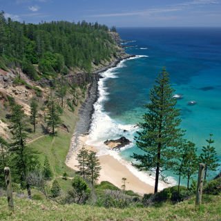 Norfolk Island Experience Escorted Tour 