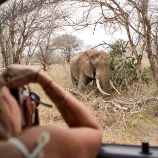 South African Safari Adventure