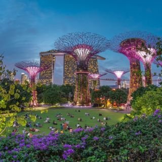 Singapore Escape Gardens & Culture Escorted Tour