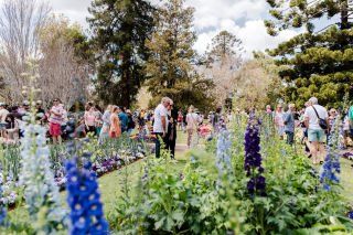 Carnival of Flowers Toowoomba 2020