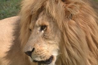 Perth to Johannesburg
From $7,249 per person
(code: EMJNB)
