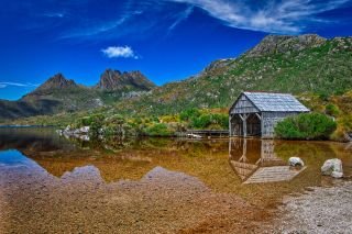 Wild Tasmania