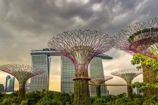 Singapore Gardens & Sightseeing Escorted Tour SOLD OUT