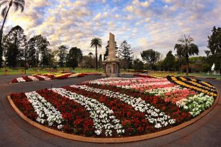 Toowoomba goes into full bloom for Carnival of Flowers