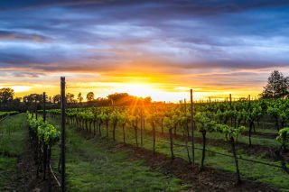 Hunter Valley, Newcastle & Port Stephens Highlights