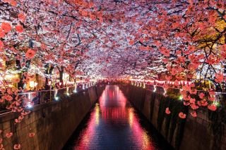 Japan – perfect in every way