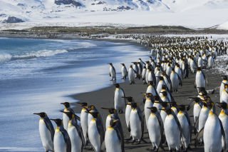 Antarctica Journey to the end of the world