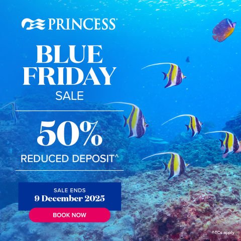 Princess Blue Friday Sale