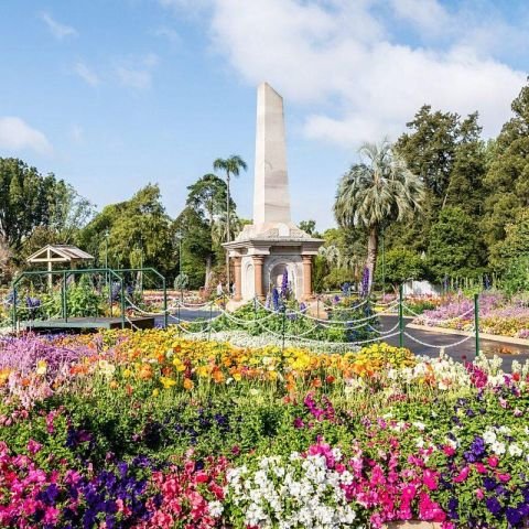 Carnival of Flowers & Sanctuary Cove Getaway