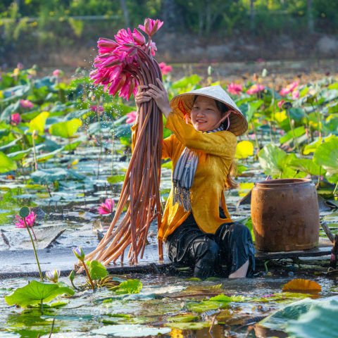 Vietnam Signature Experience Small Group 