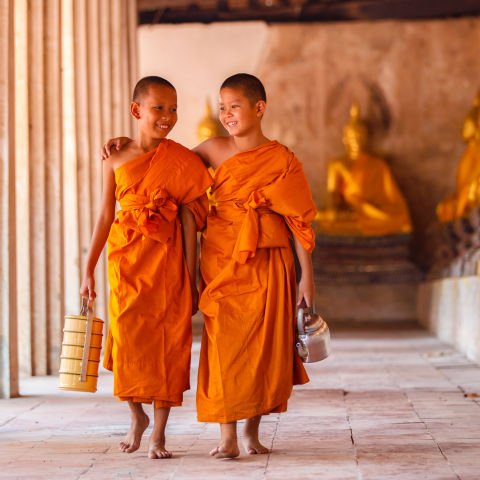Timeless Thailand: Temples, Traditions & Hidden Treasures