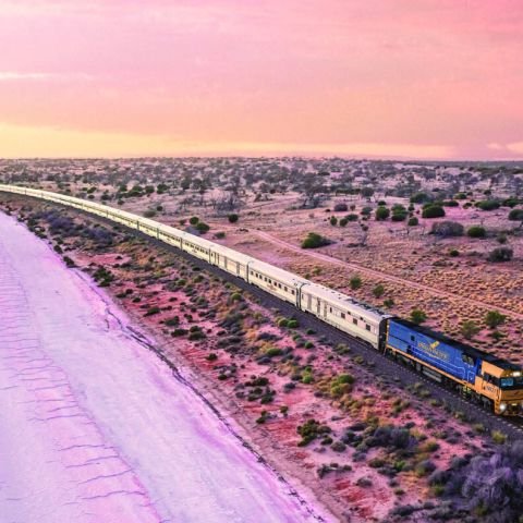 Indian Pacific Sydney to Adelaide or vice versa 