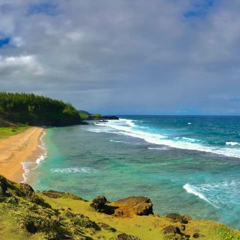 Norfolk Island Escorted Tour