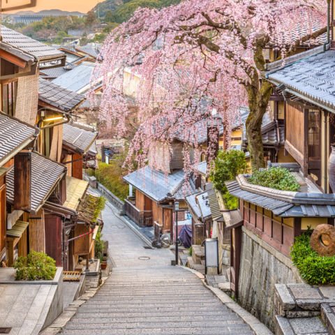 Uniquely Japan: A Cultural Odyssey