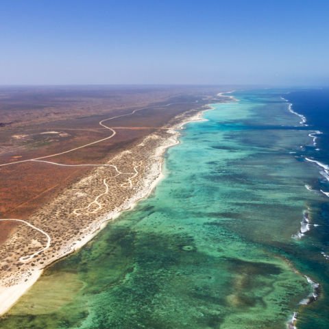 Western Australia Cruise Sale 50% Off